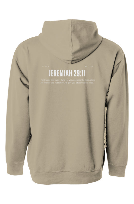 Jeremiah 29:11 Heavy Hoodie